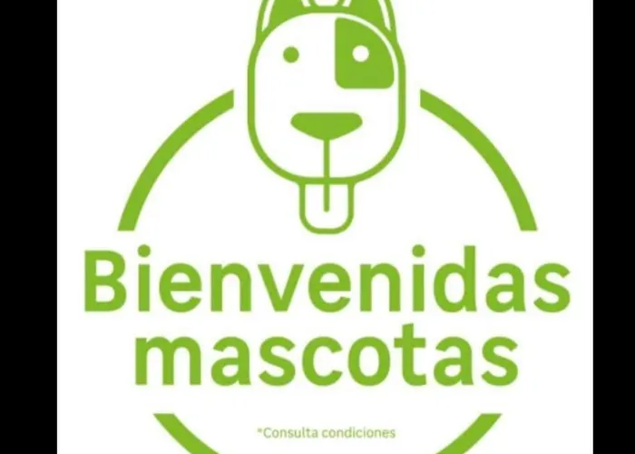 Apartamento Turístico Snow Boutique *